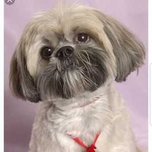 Meet your Posher, Nicolette